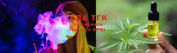 индика Осинники