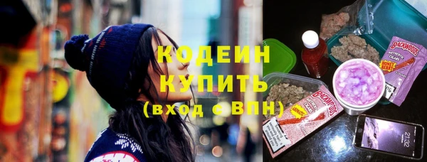 индика Осинники